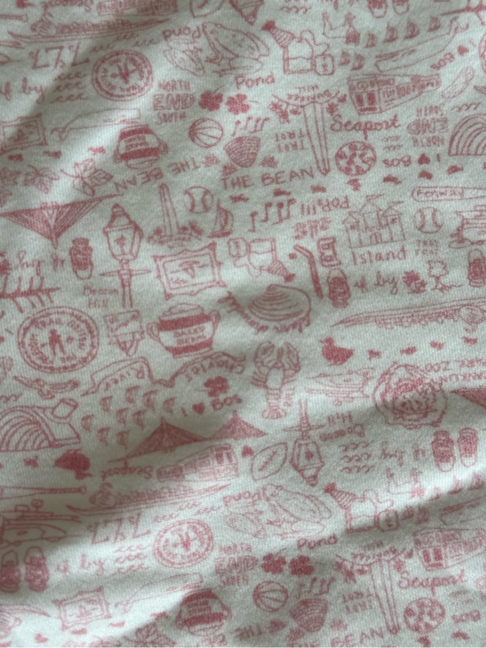 Illustrated Boston Cotton Blanket in Light Pink by Joy Street Kids